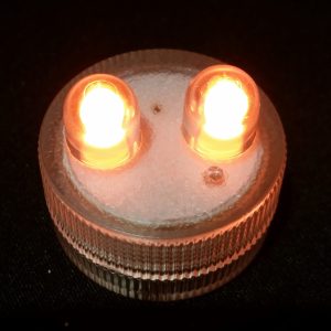 Submersible LED - 2 Bulbs - Orange