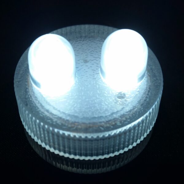 Submersible LED - 2 Bulbs -Clear White