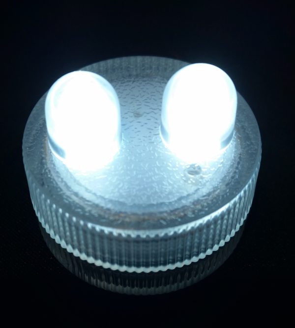 Submersible LED - 2 Bulbs -Clear White