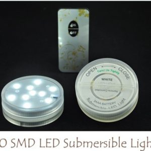 Submersible LED - 10  - Clear White