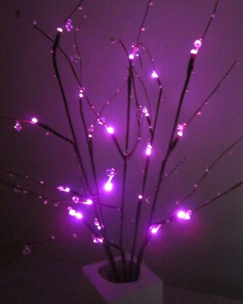LED LIGHT UP BRANCHES  - EX HIRE