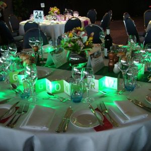 LED MINI DECOR LIGHTS (pack of 10)